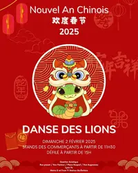 Grand défilé pour le Nouvel An chinois à Lyon