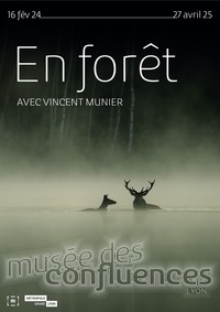 Exposition En Forêt avec Vincent Munier, aux Confluences